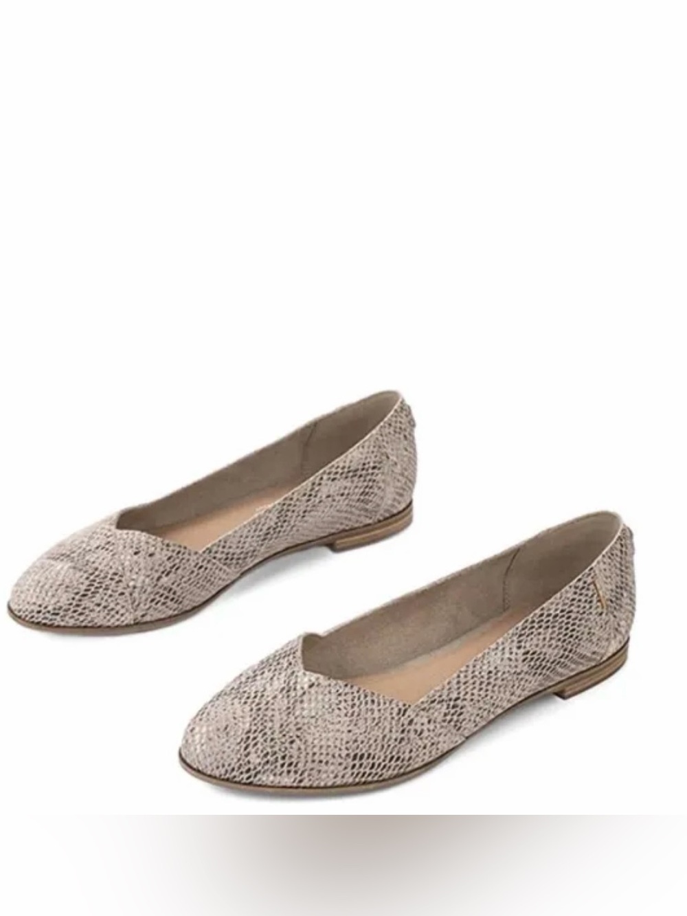 Women's Snakeskin-Print Pointed Flats - Size 7